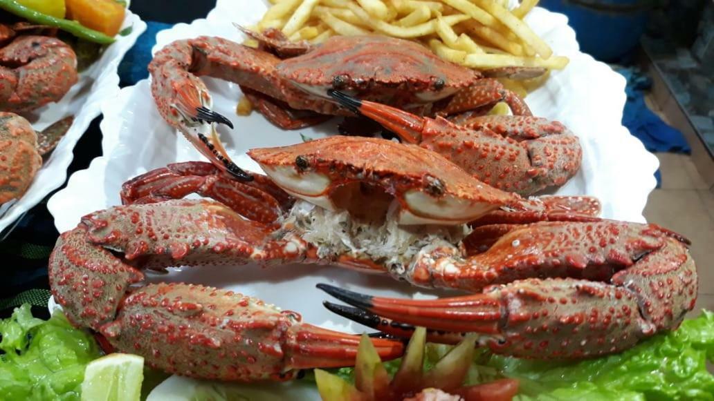 Hotel Dolphin היקדואה מראה חיצוני תמונה